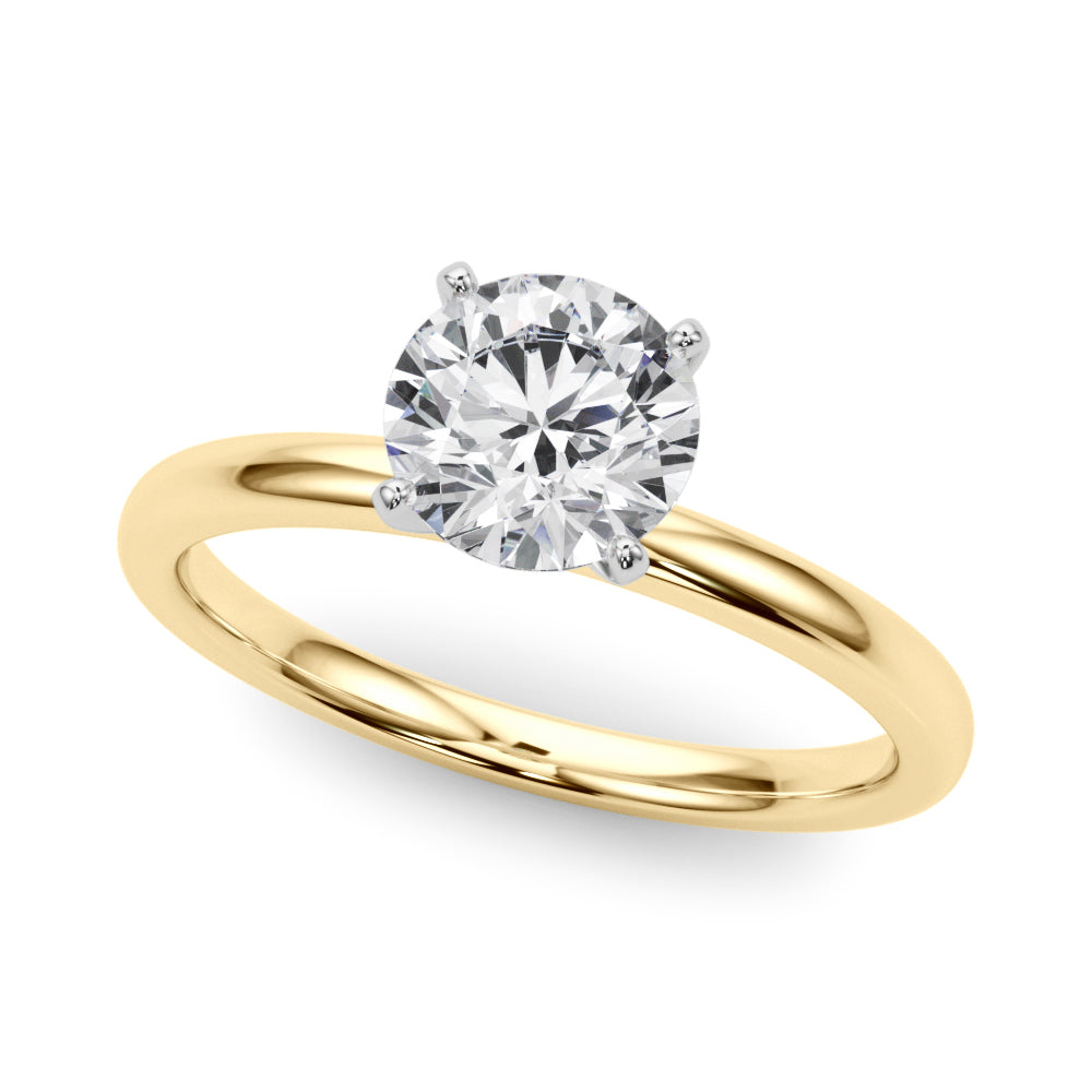 Bethany Remount — 51192-E