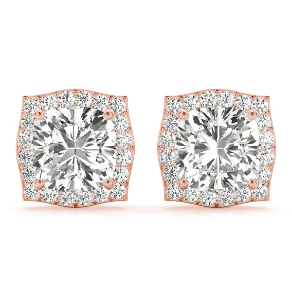 Fashion Earrings