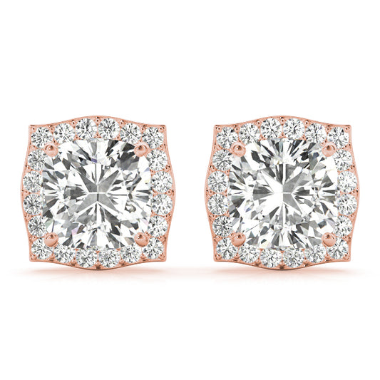 Fashion Earrings