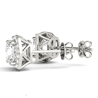 Fashion Earrings