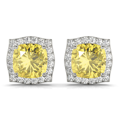 Fashion Earrings