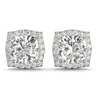 Fashion Earrings