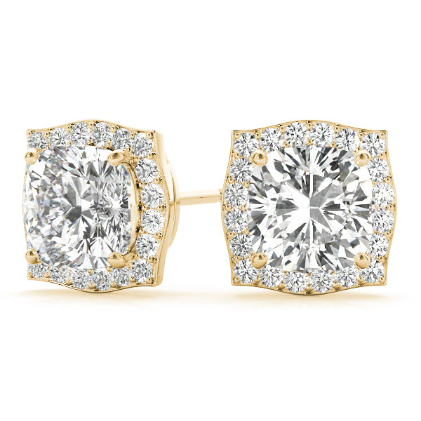 Fashion Earrings