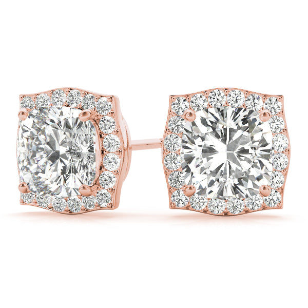 Fashion Earrings