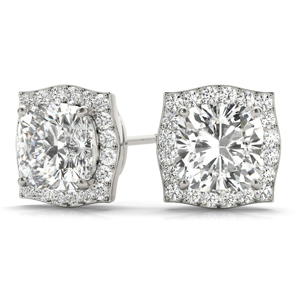 Fashion Earrings