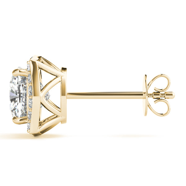 Fashion Earrings