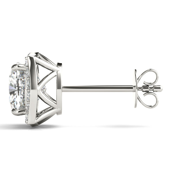 Fashion Earrings