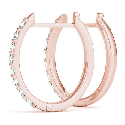 Fashion Earrings