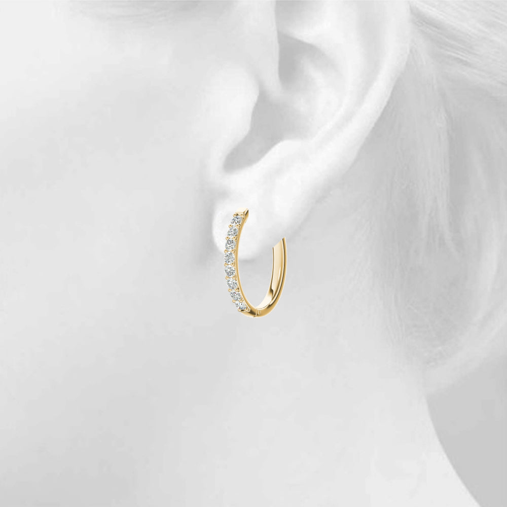Fashion Earrings