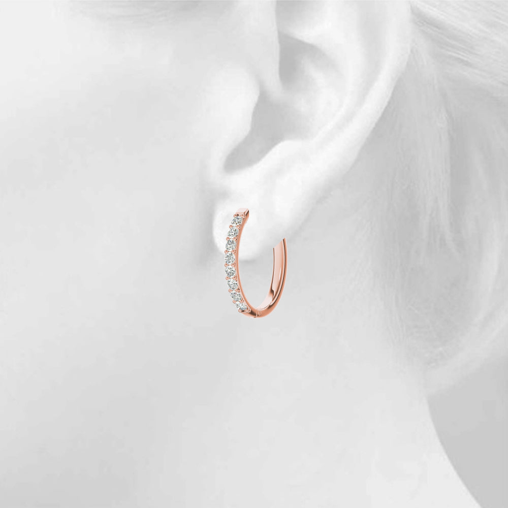 Fashion Earrings