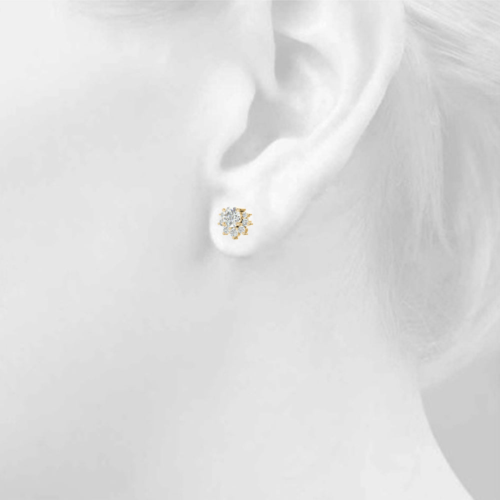 Fashion Earrings