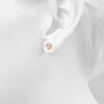 Fashion Earrings