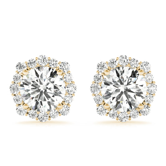 Fashion Earrings