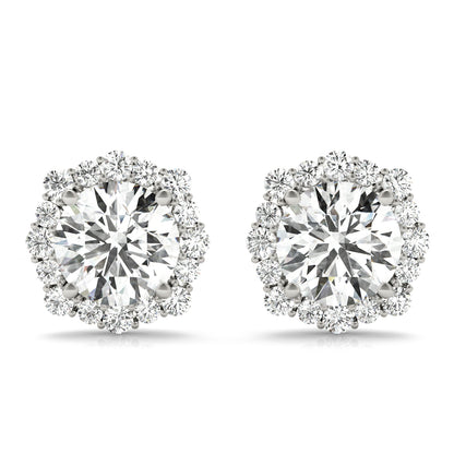 Fashion Earrings