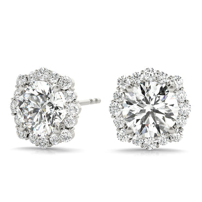 Fashion Earrings