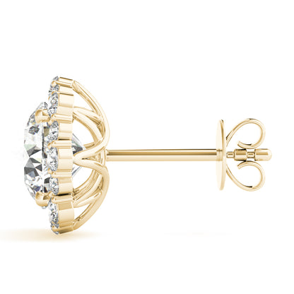 Fashion Earrings