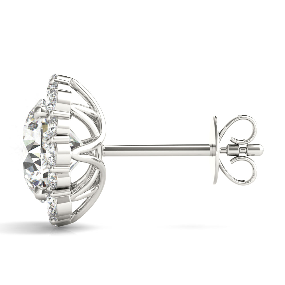 Fashion Earrings