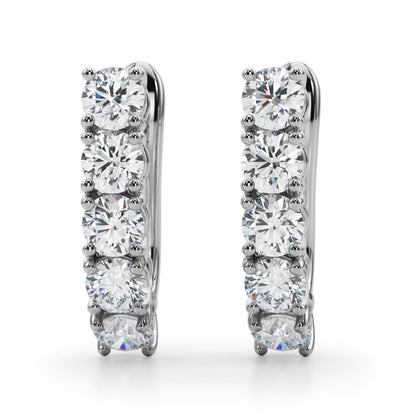 Earrings With Omega Backs