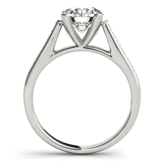 Zamia Pave Engagement Ring - Side