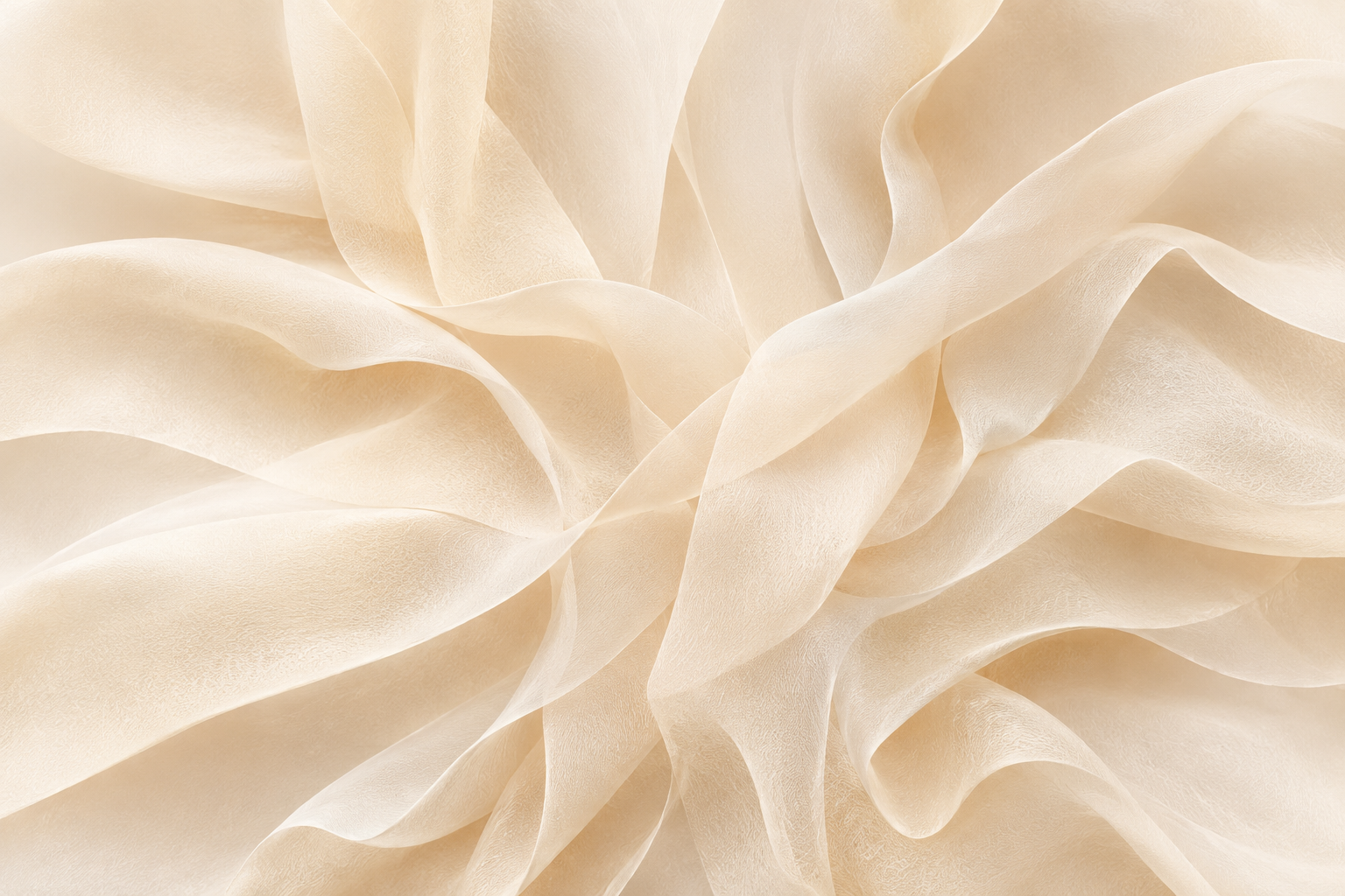 EOFY Banner